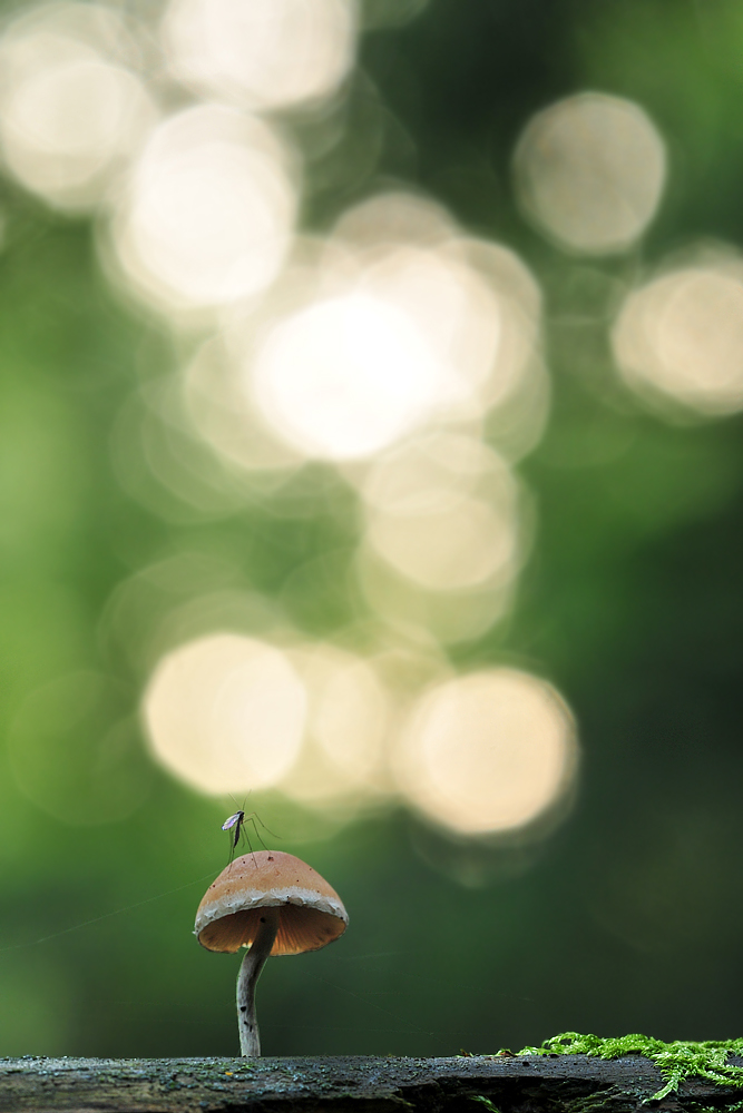 Herbstzeit