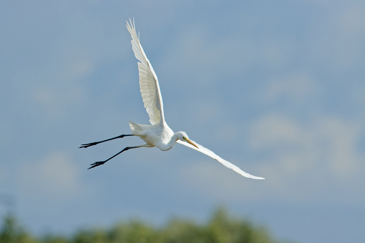 Im Landeanflug