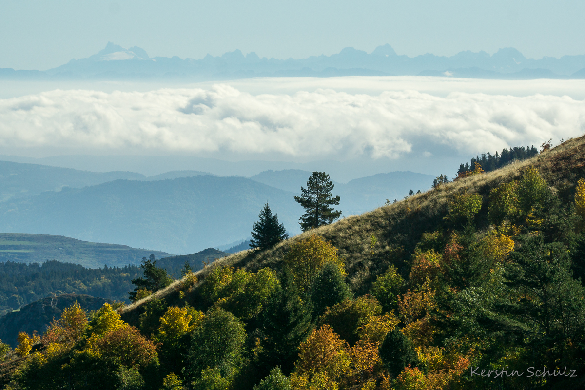 Im Hintergrund die Alpen