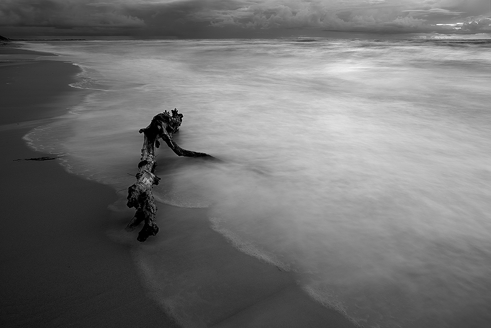 am Darßer Weststrand