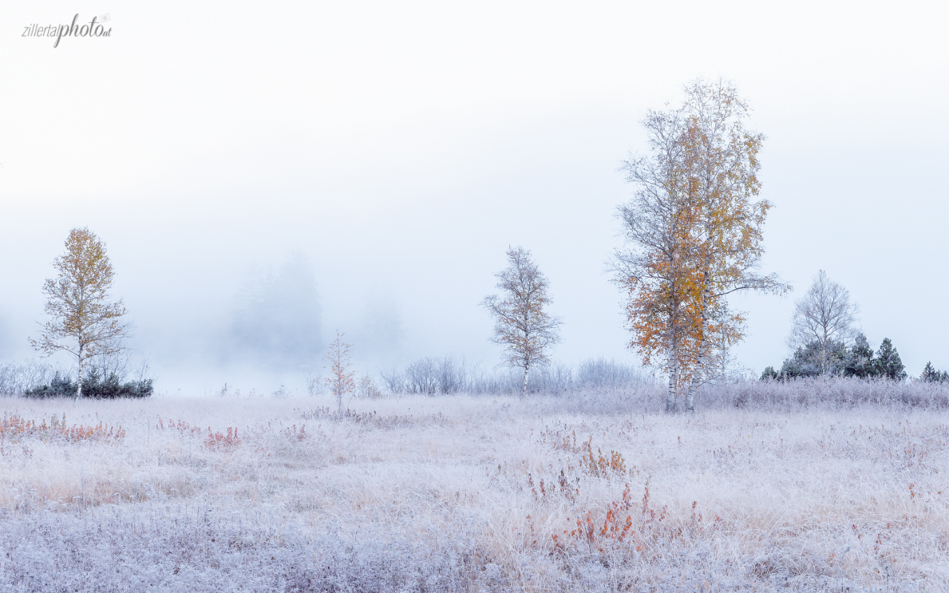 An einem frischen Herbstmorgen