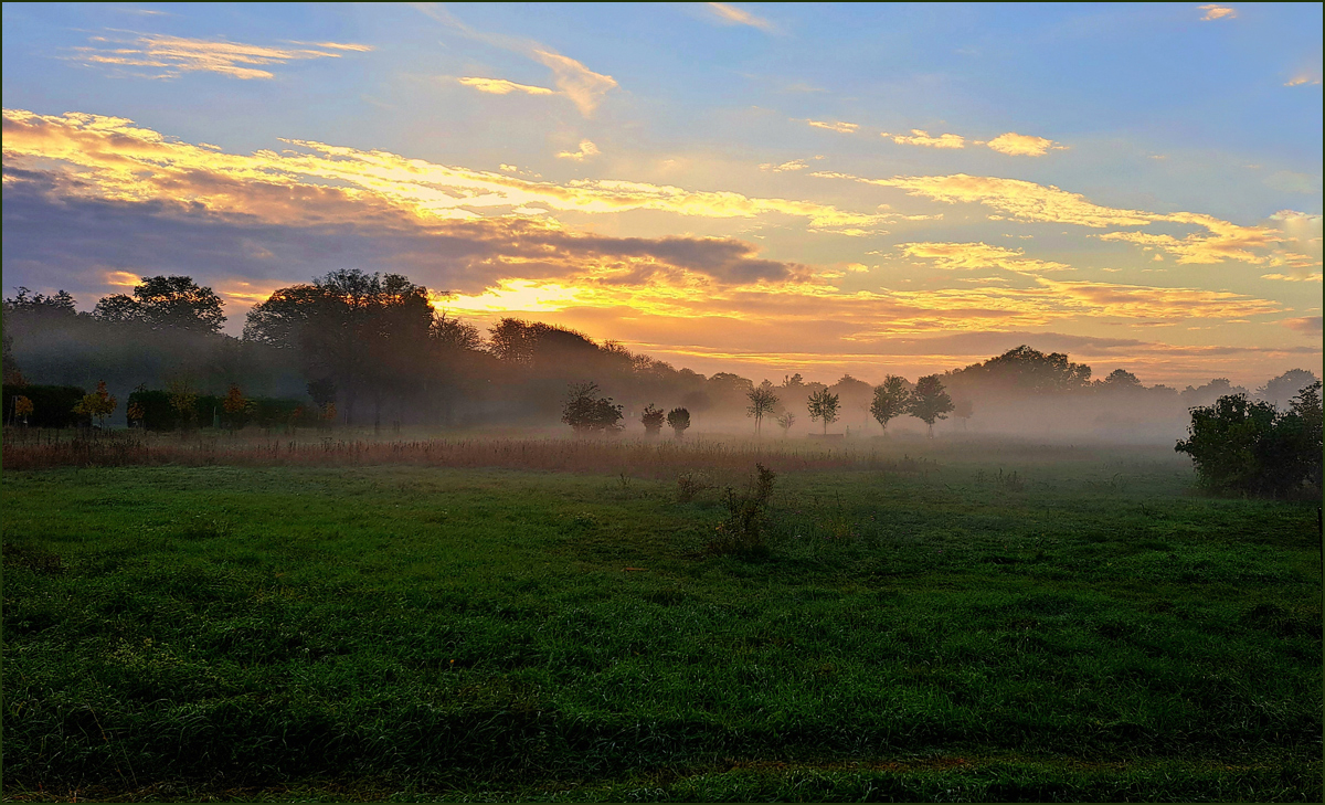 *Morgenstimmung*