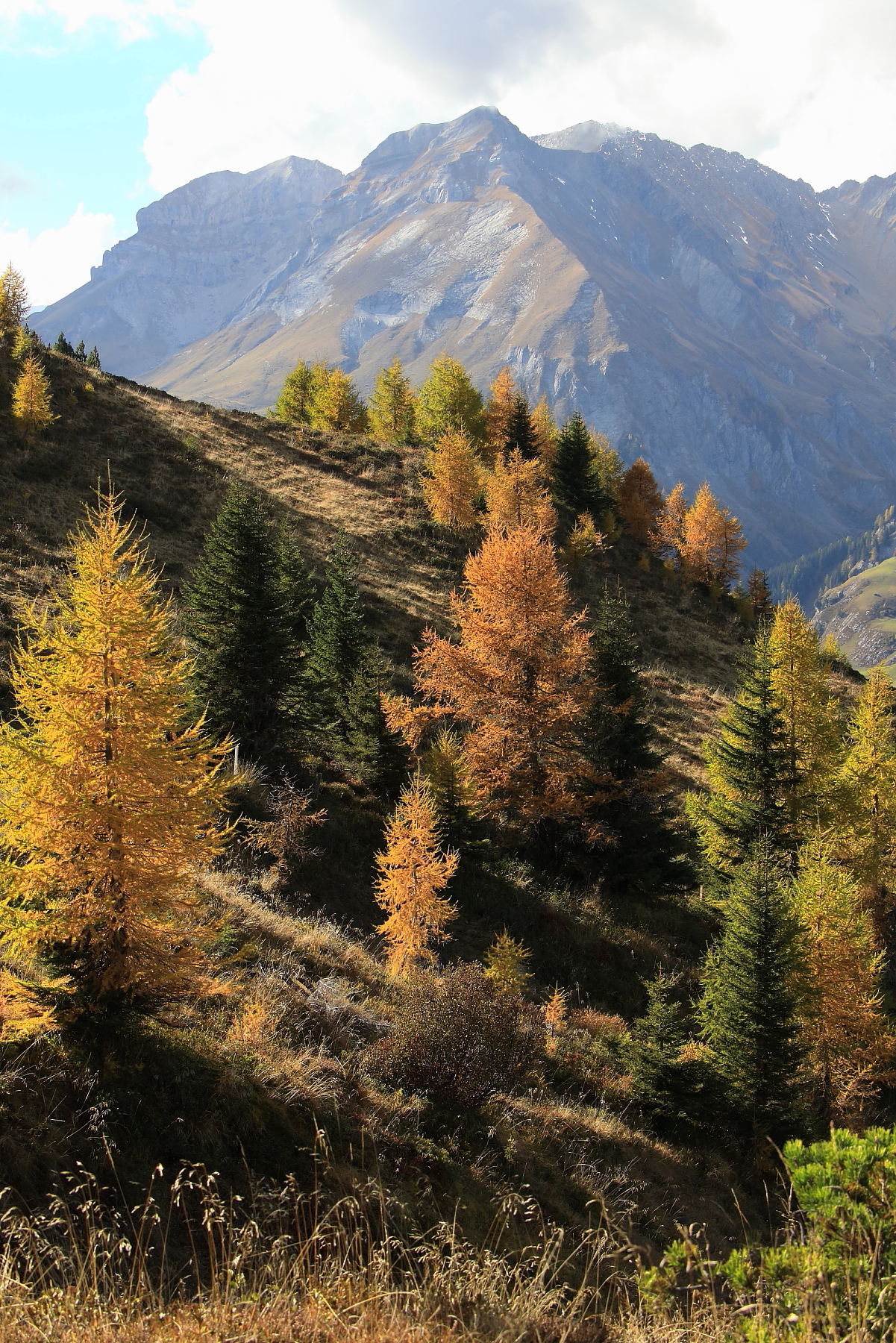 Der Herbst Ist Da Forum Für Naturfotografen 3345