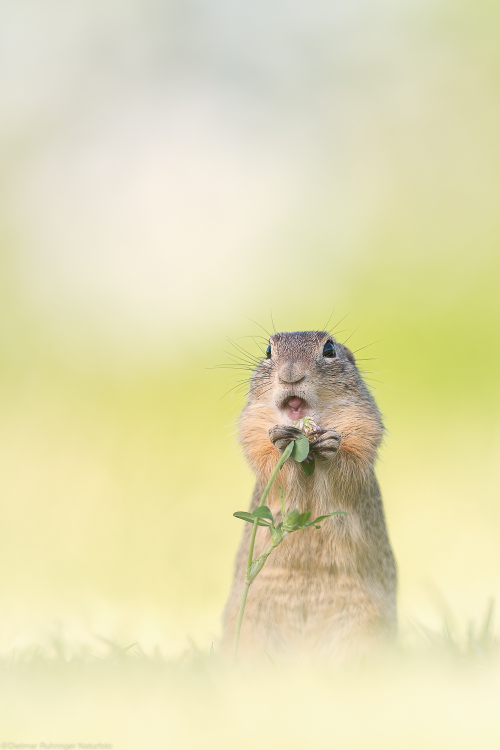 Was guckst Du??