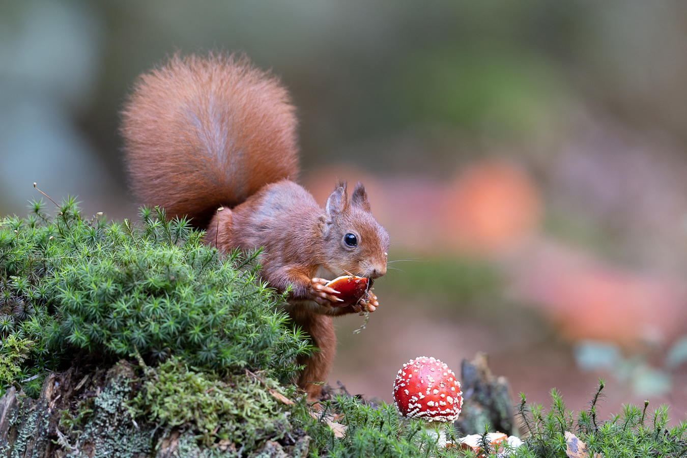 "mmh lecker"