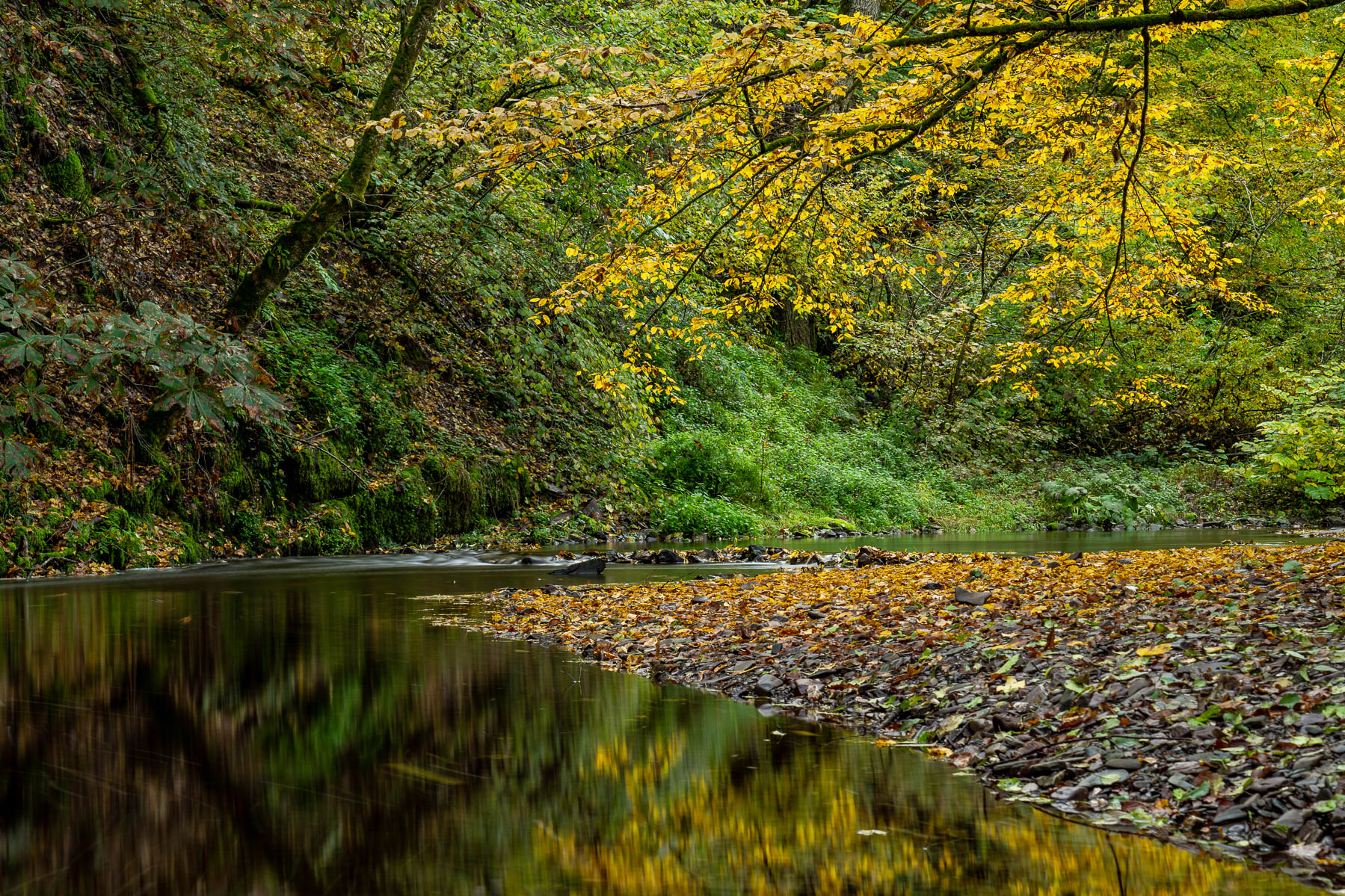 Herbststimmung am Üßbach