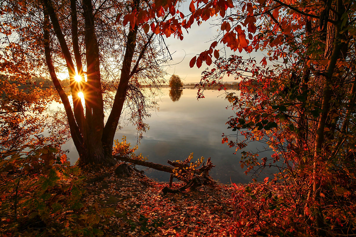 Herbstsonnenaufgang am See