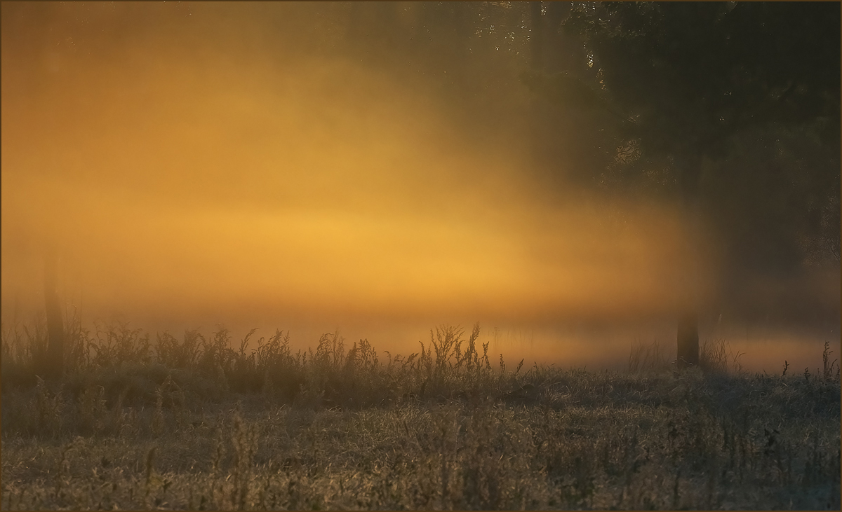 *Bodennebel...*