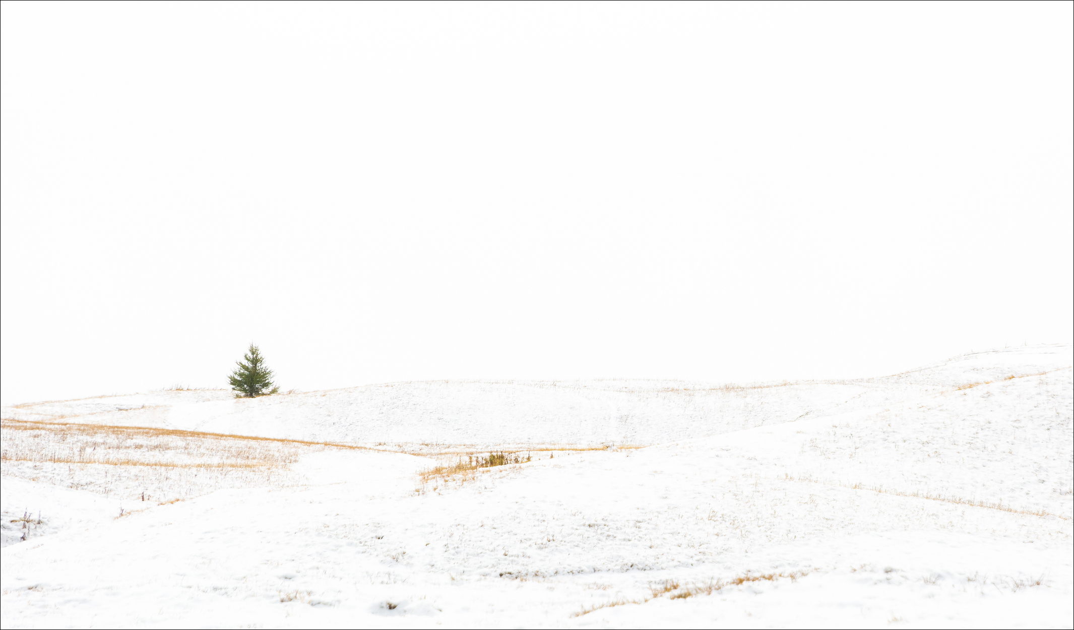 Herbstschnee