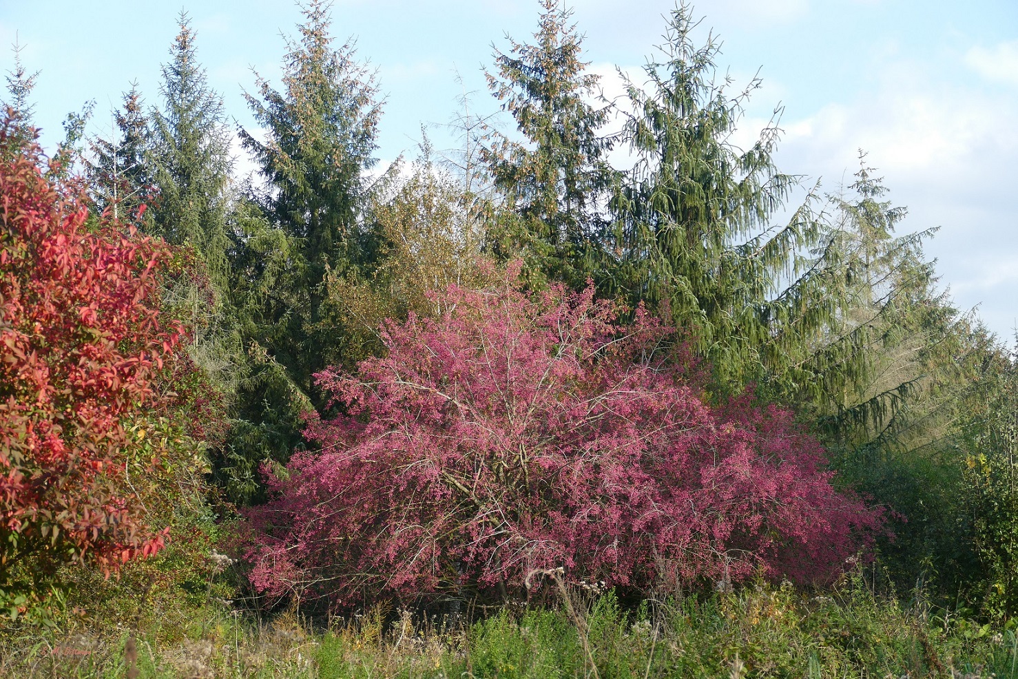 Herbstfarben