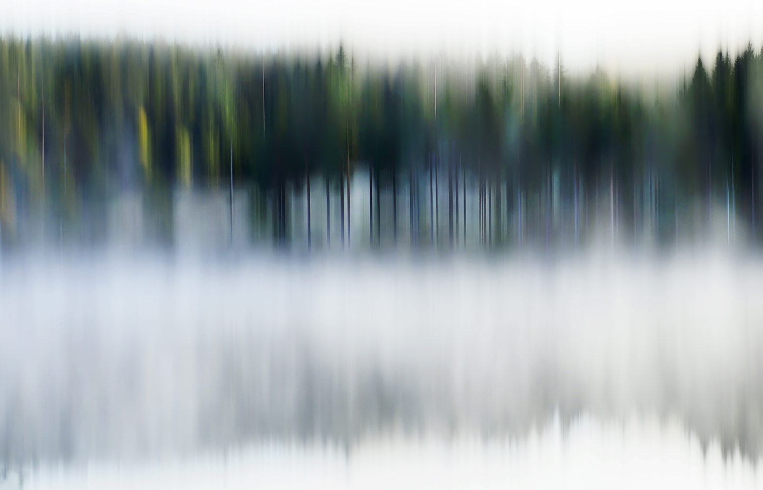 Nebelmorgen am See.