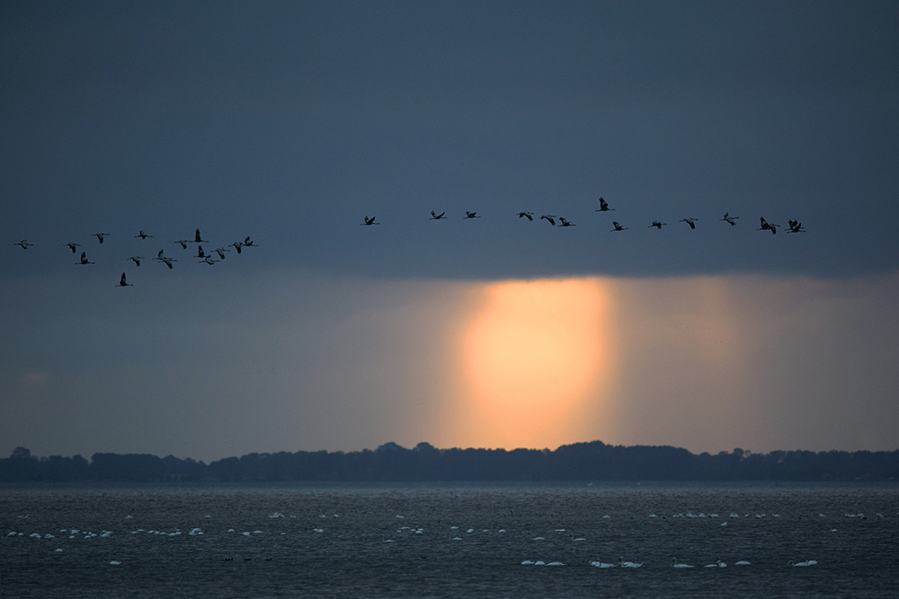 Morgenstimmung