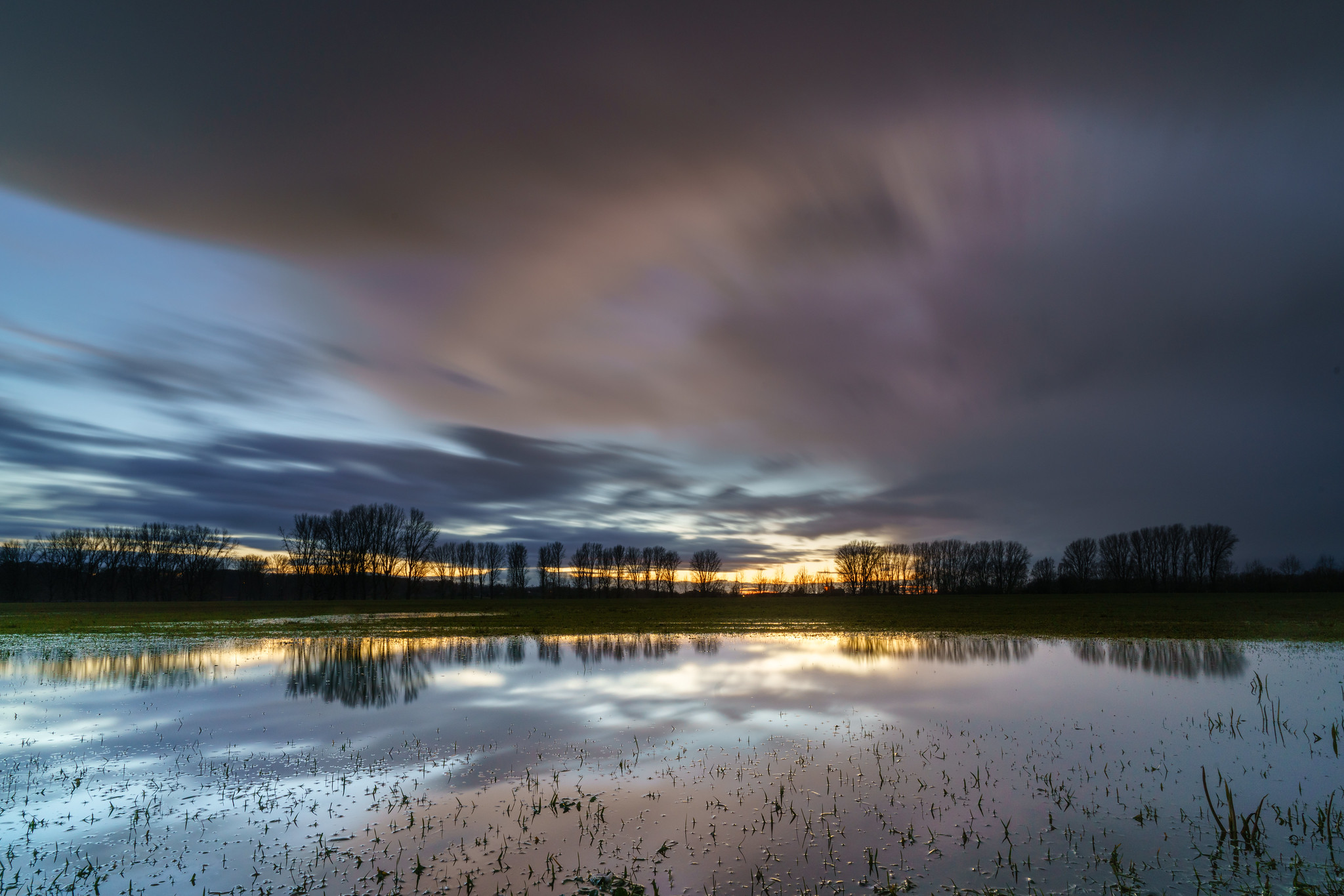 Hochwasser in den Rheinwiesen