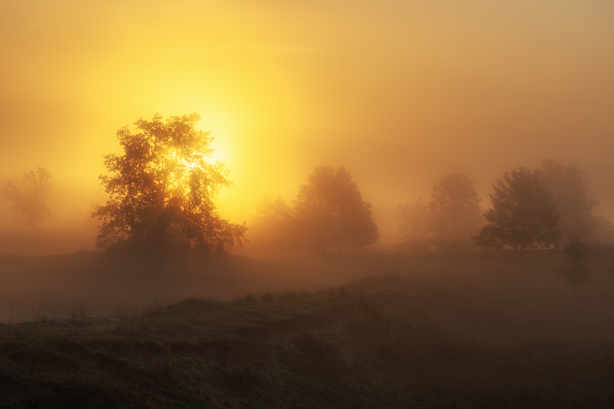 Nebel am Morgen