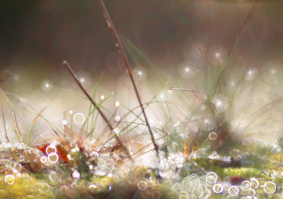 Herbstzauberwelt
