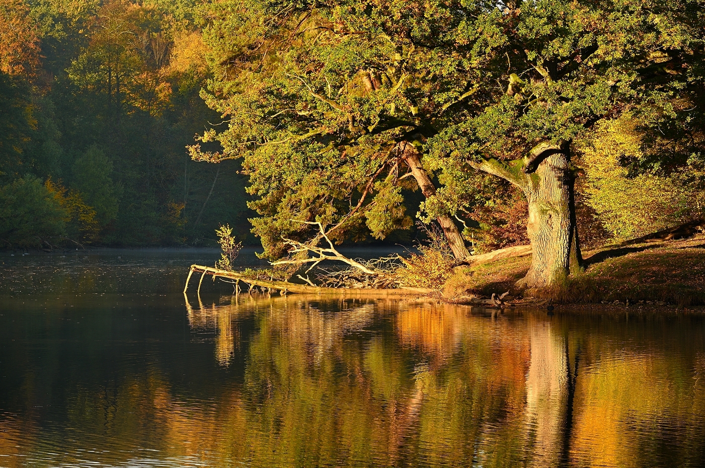 Herbststimmung