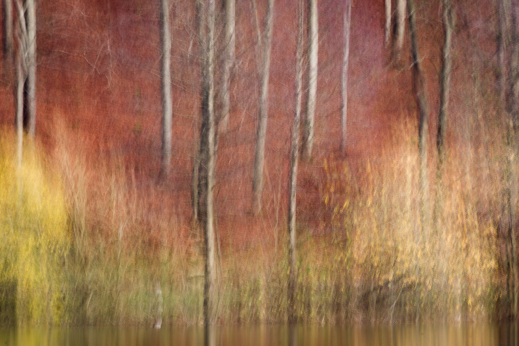 Herbst in der Eifel