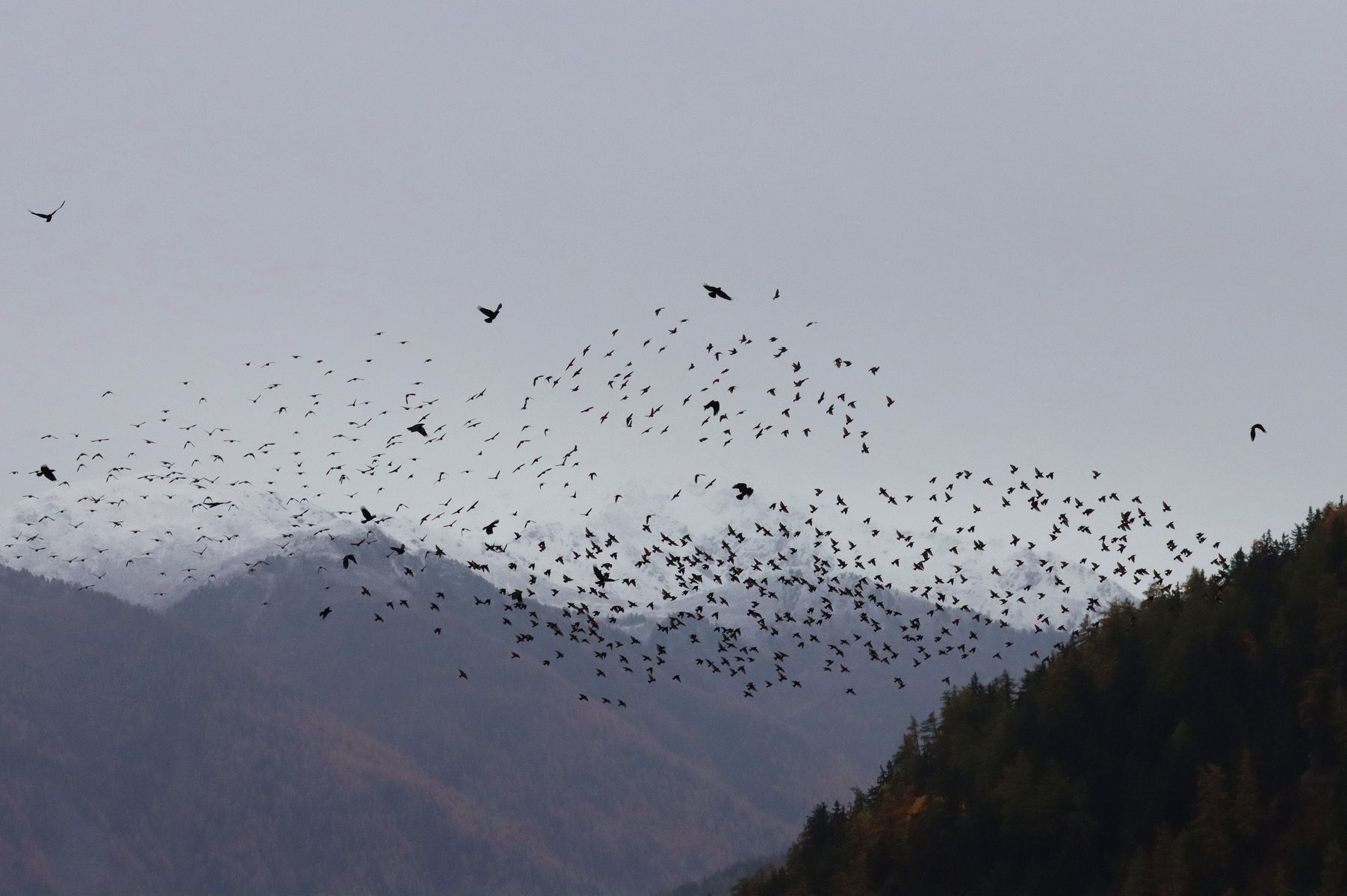 Herbstliche Stimmung