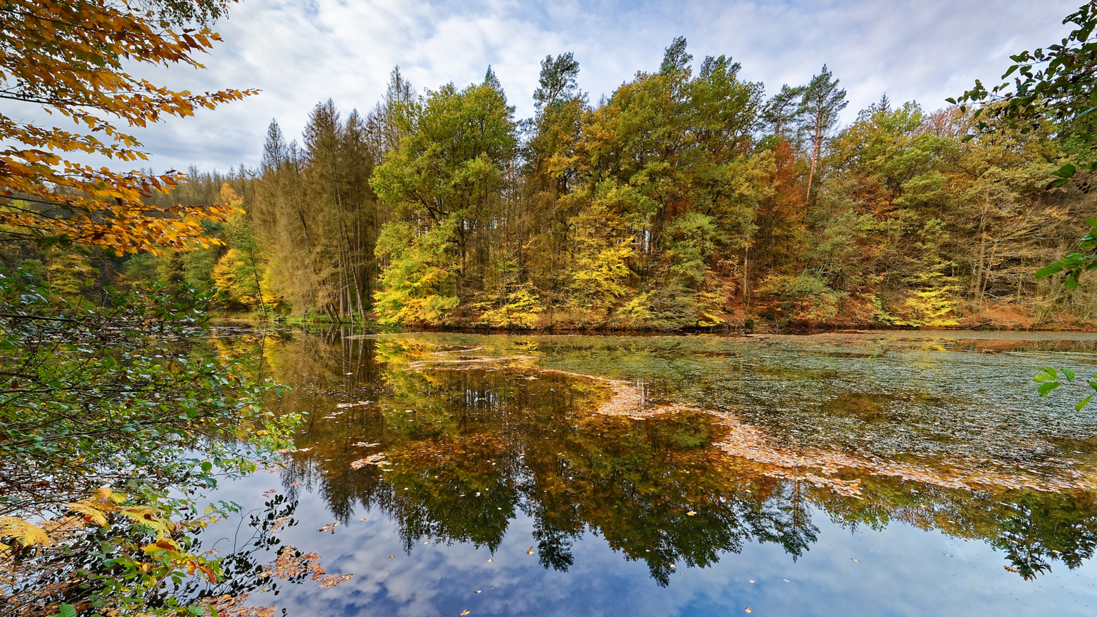 Herbst im Bergischen Land