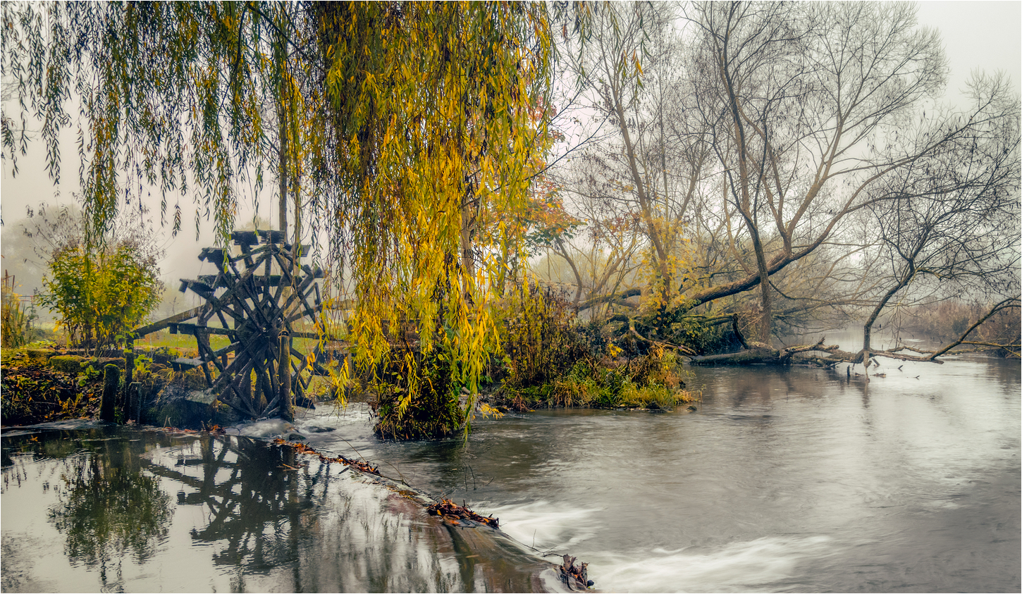 Die Wiesent im Herbst