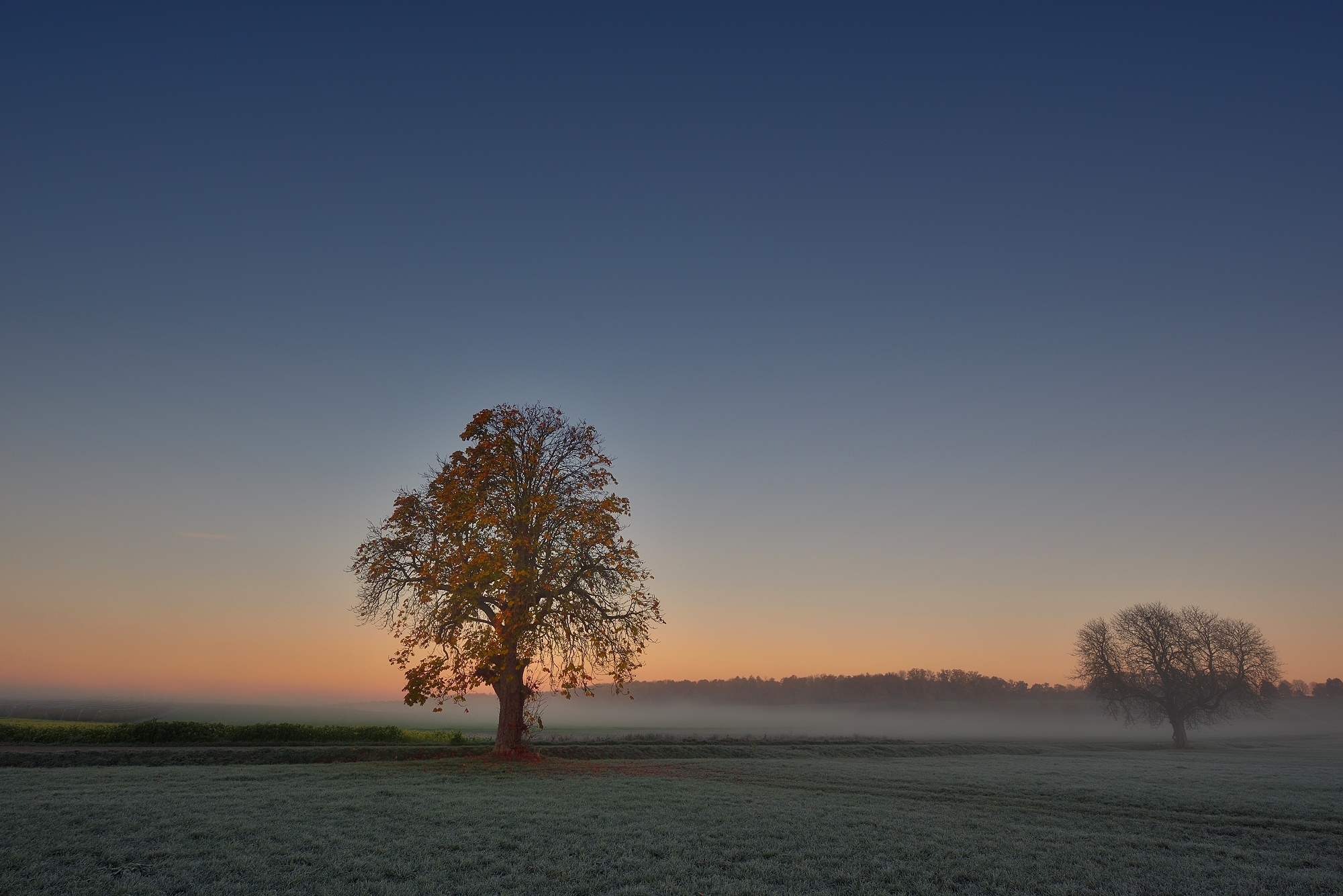 Herbstmorgen