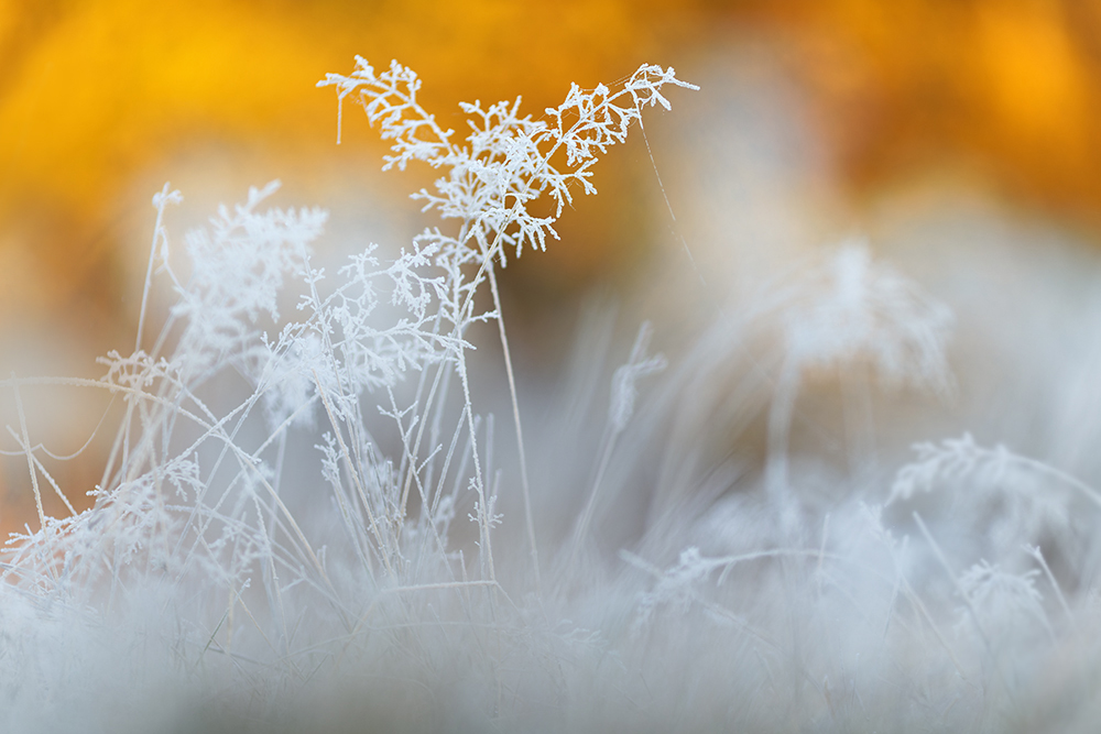 Herbst und Winter