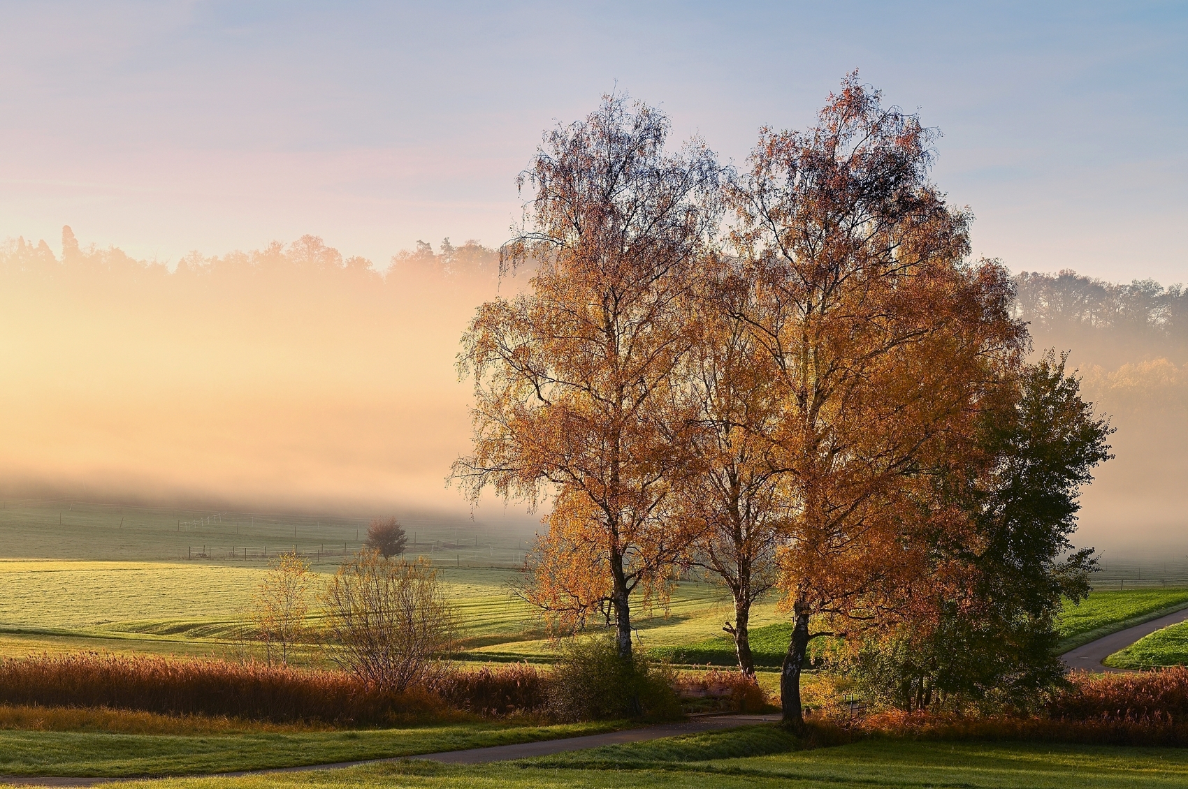 Herbstmorgen