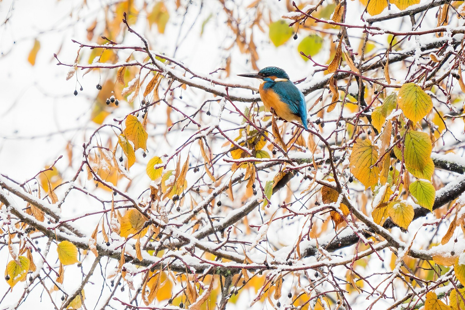 Herbst, Winter...