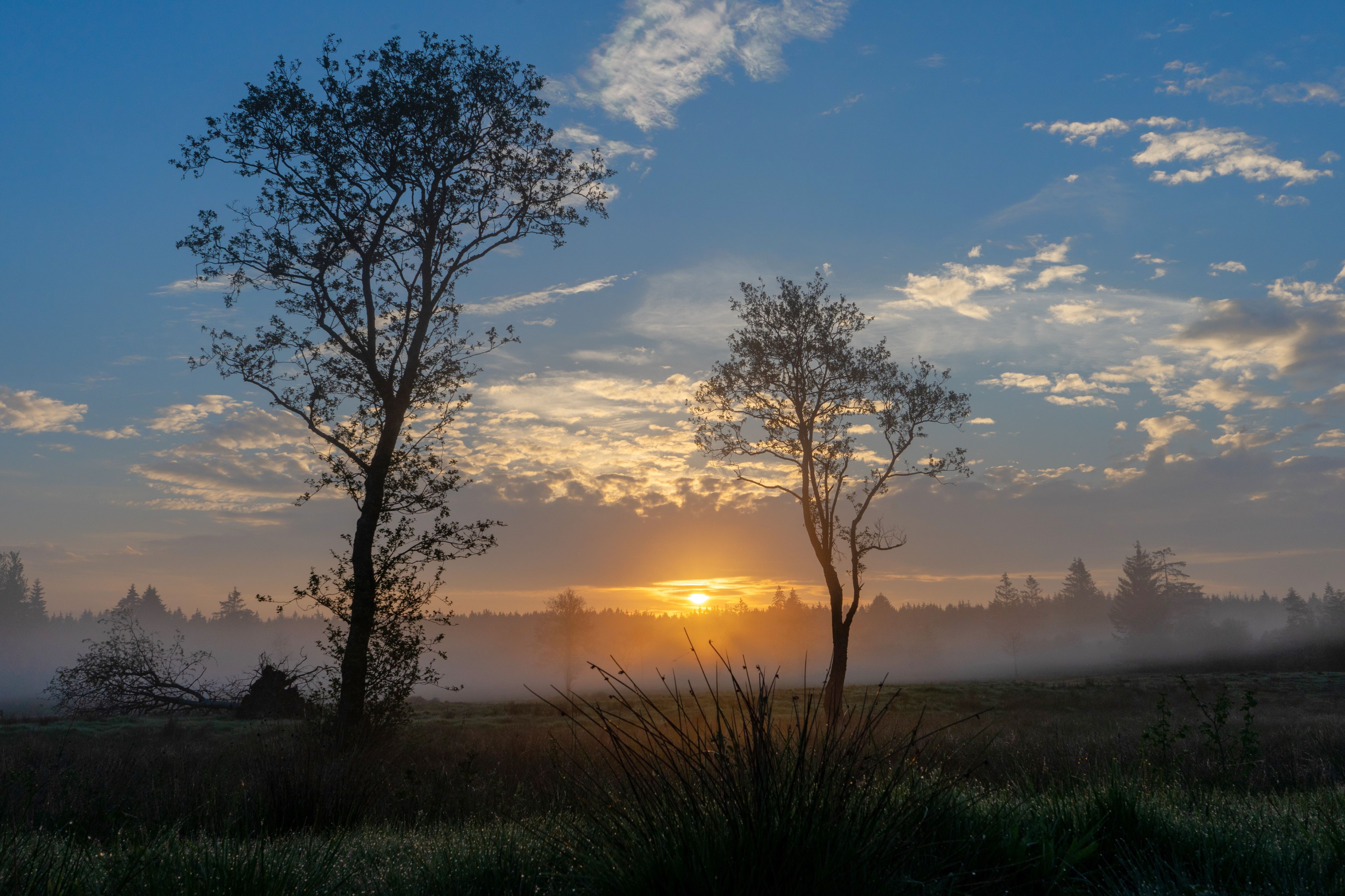 Sonnenaufgang im Hohen Venn