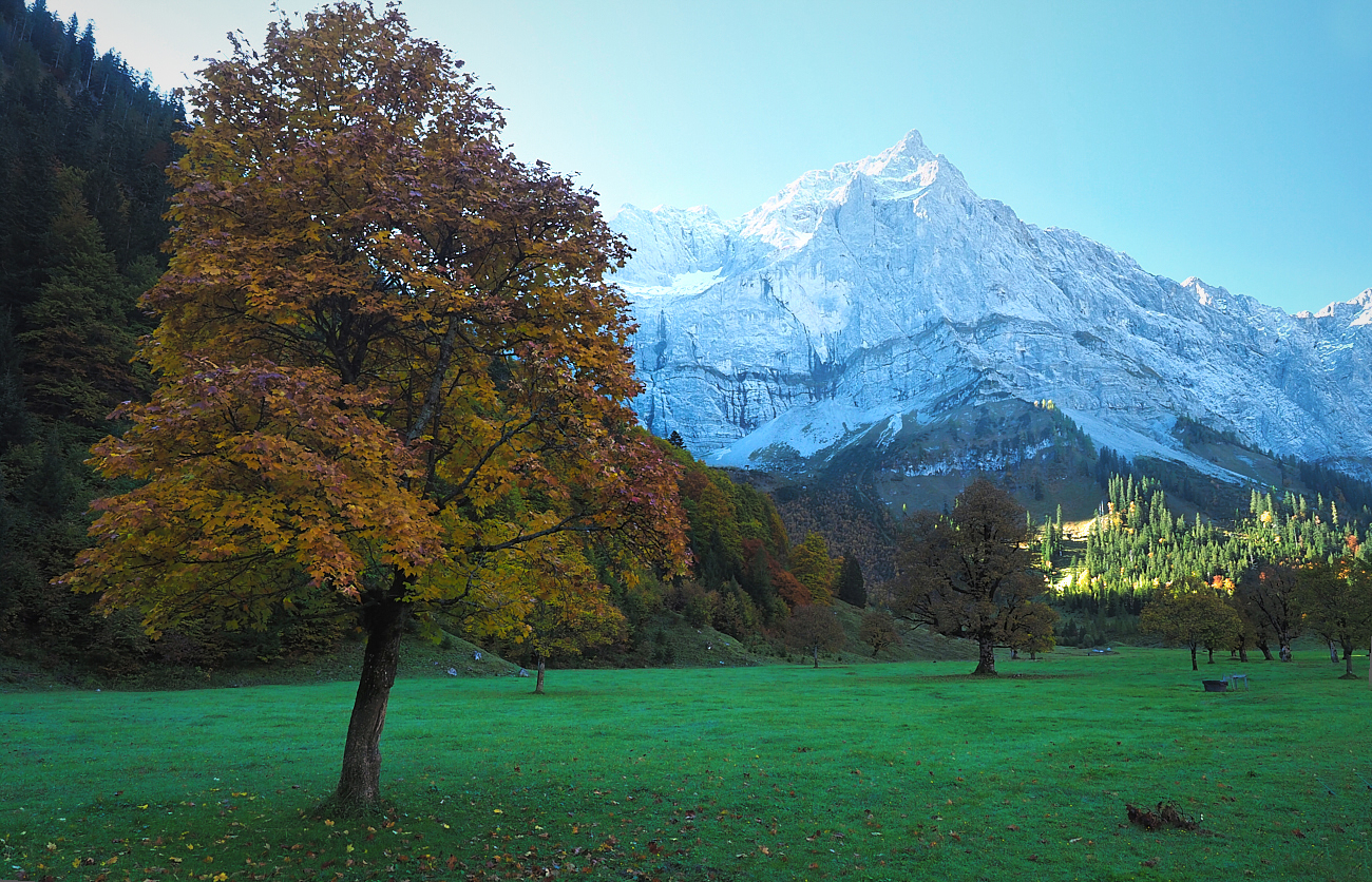 Im Frühtau im Karwendel