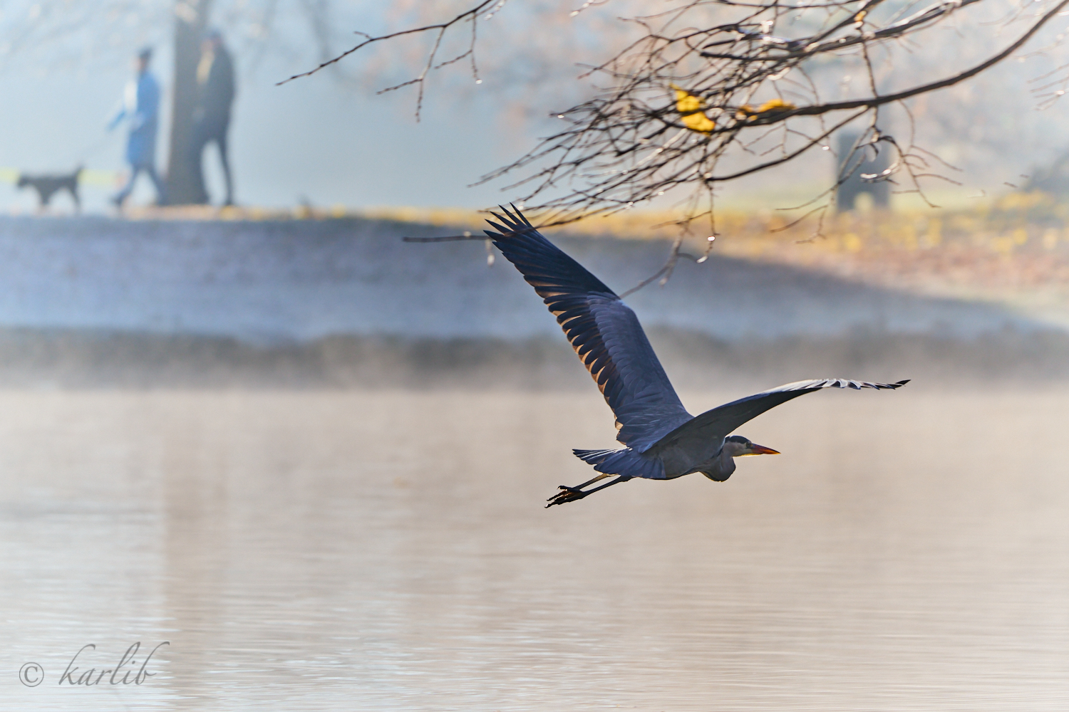 Sonntagsspaziergang am See