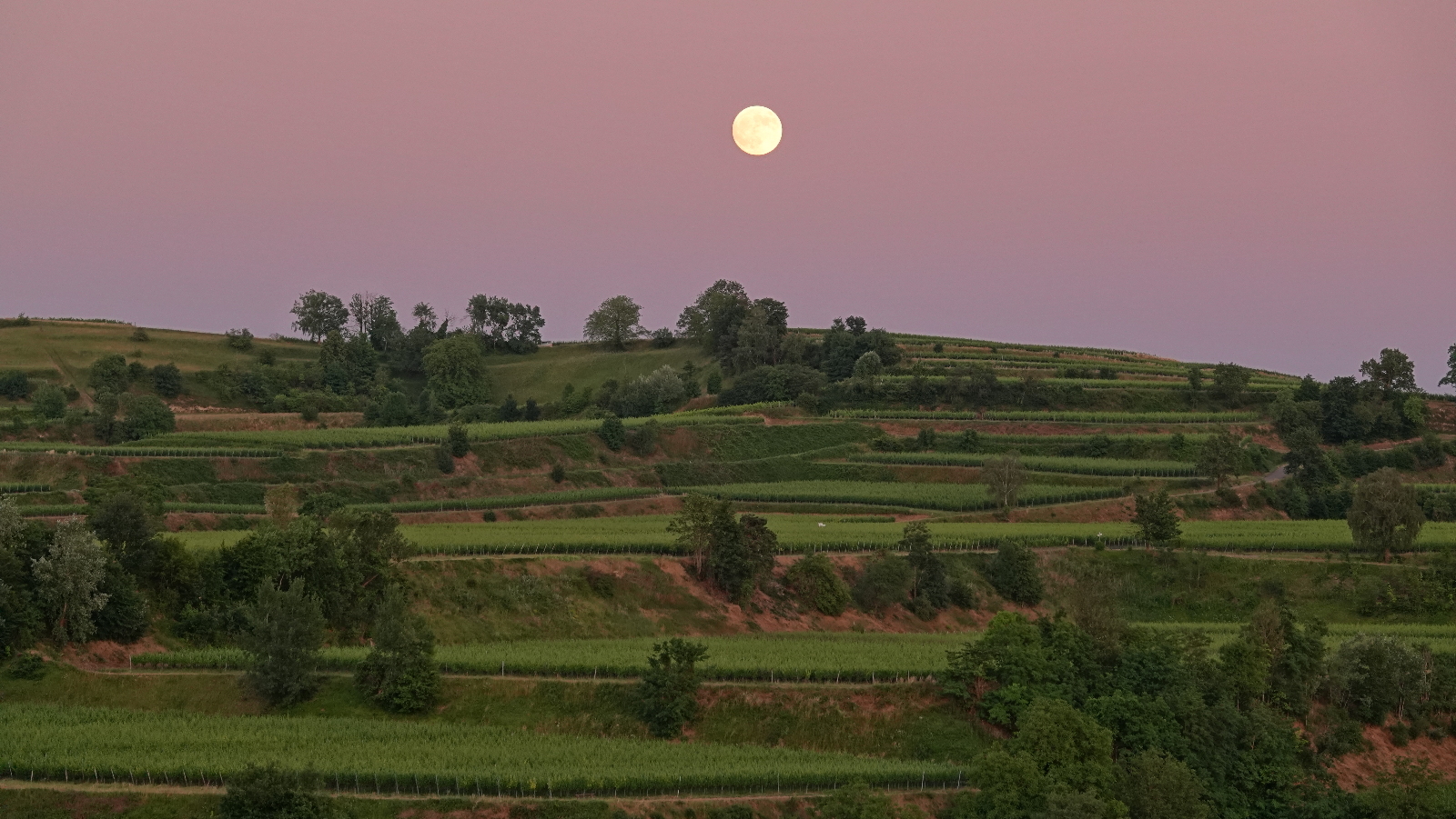 Mond über dem Kaiserstuhl