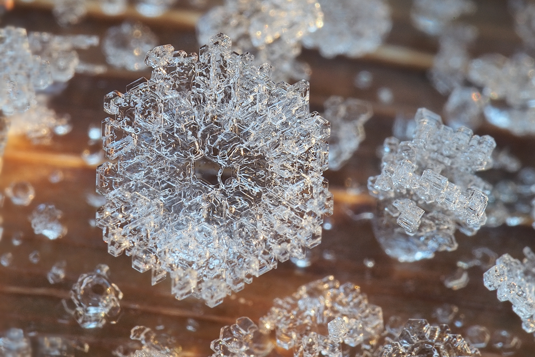 Was der Frost so alles entstehen lässt...