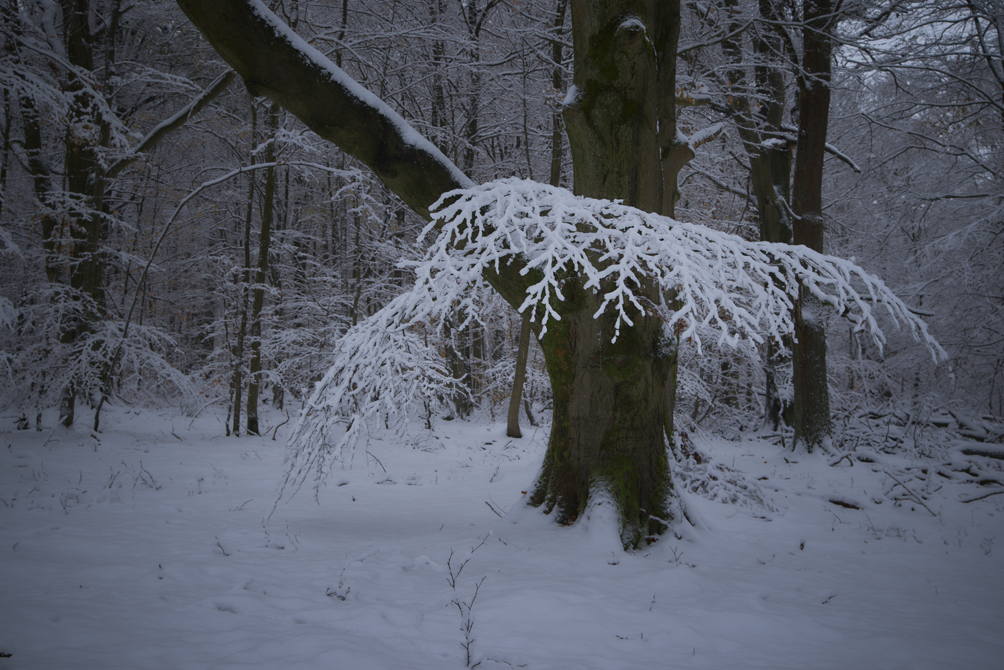 Da nun halt mal Winter ist...