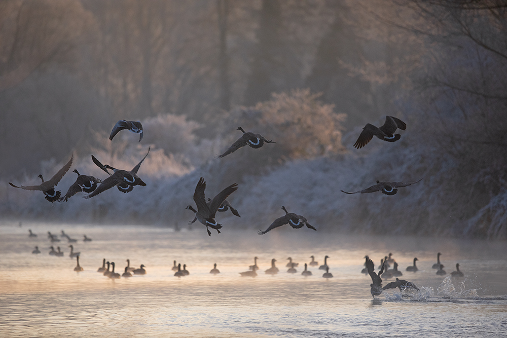 winterliche Ruhr