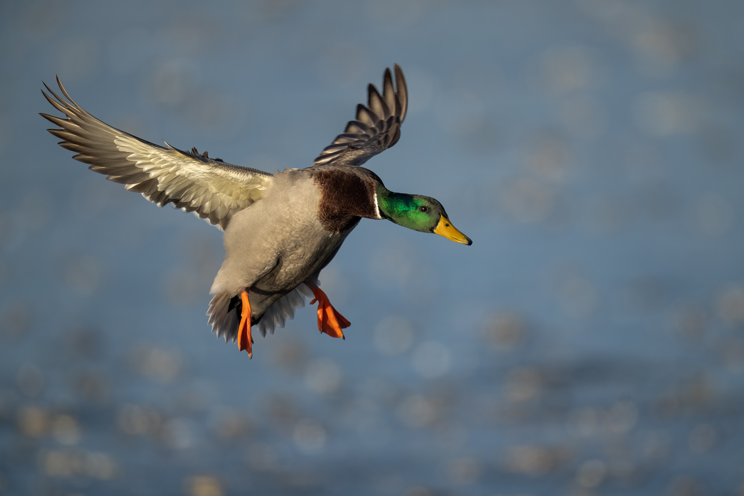 Landeanflug