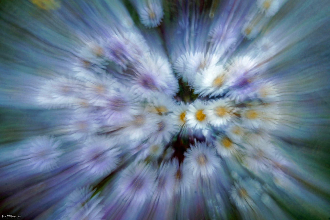 Ein Herz mit Blumen