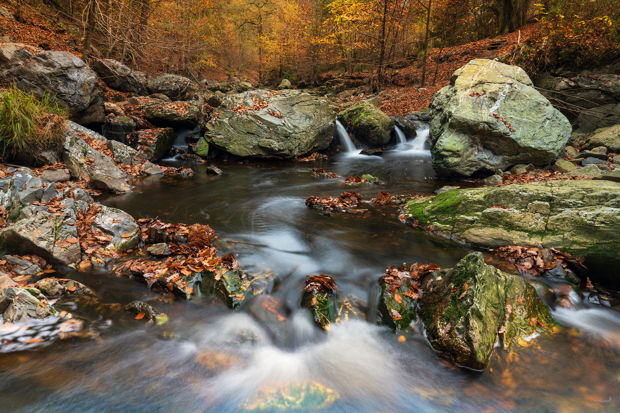 Herbststimmung an der Hoëgne