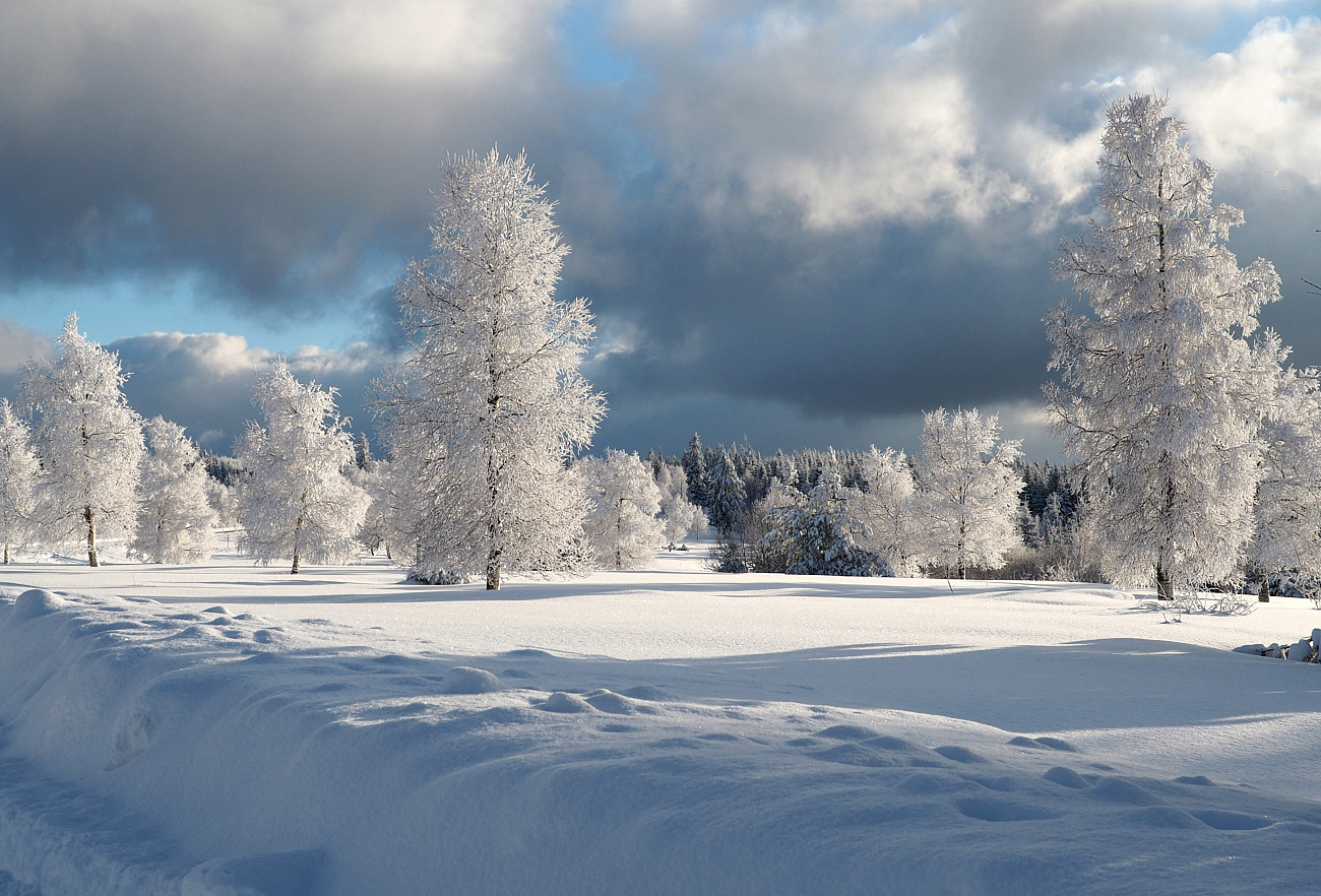 Schwarzwaldwinter