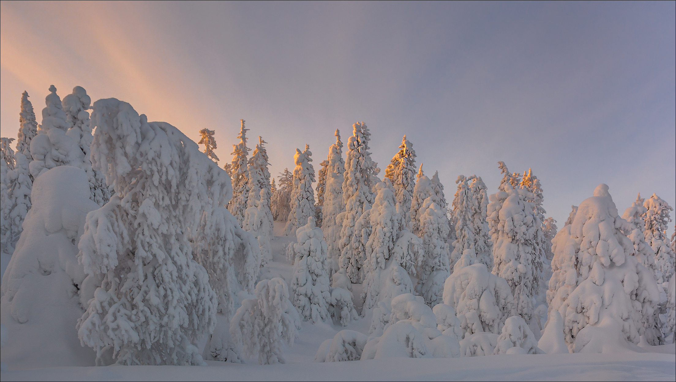 eiskalte Gesellen