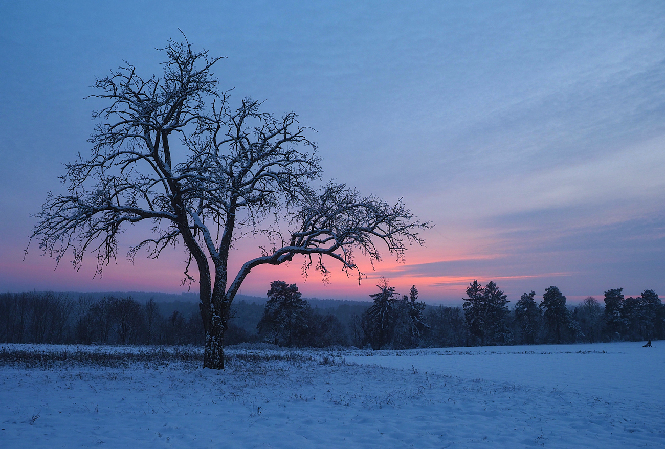 Winterabend