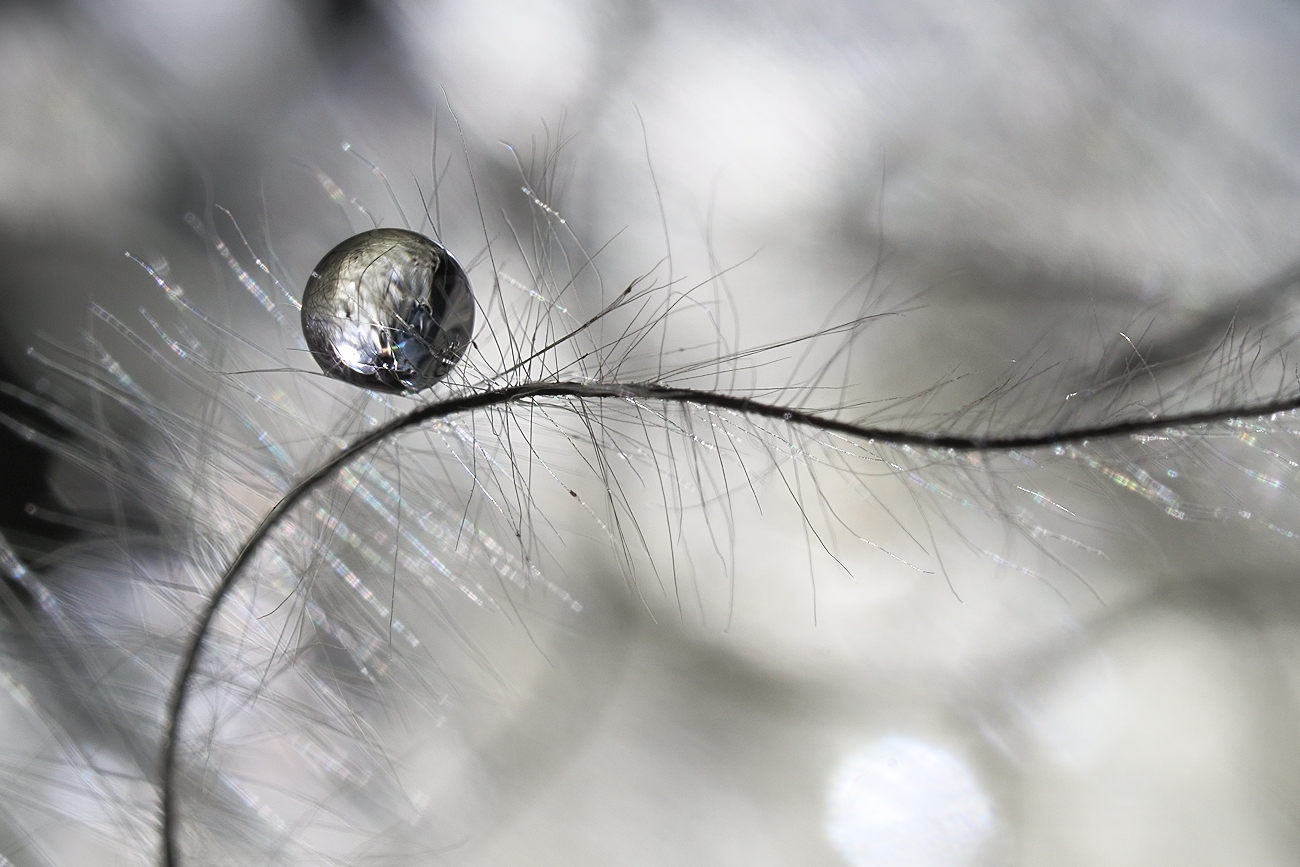 Tropfenspielerei bei schlechtem Wetter