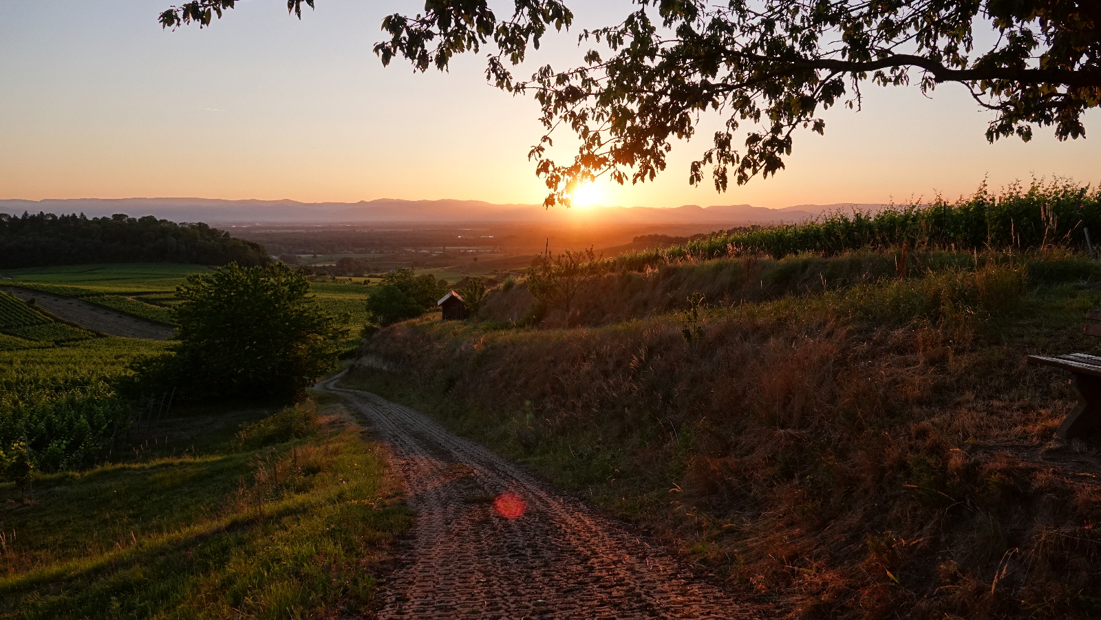 Sonnenuntergang hinter den Vogesen