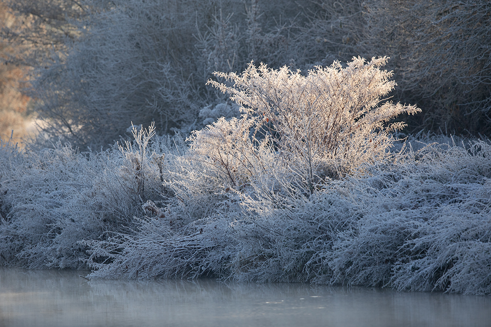 ein frostiger Morgen