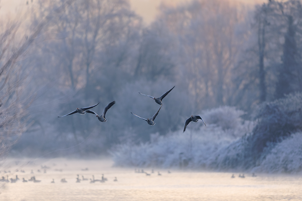 Winterstimmung