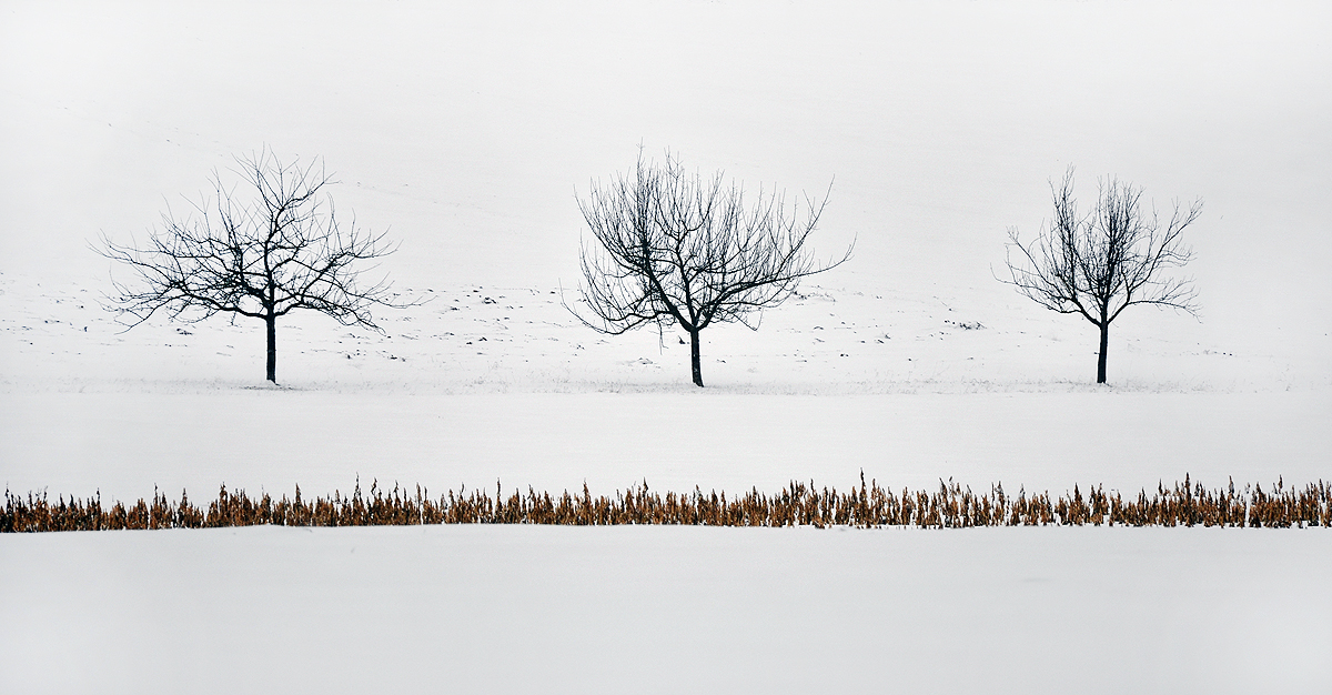 Winterimpression ...,
