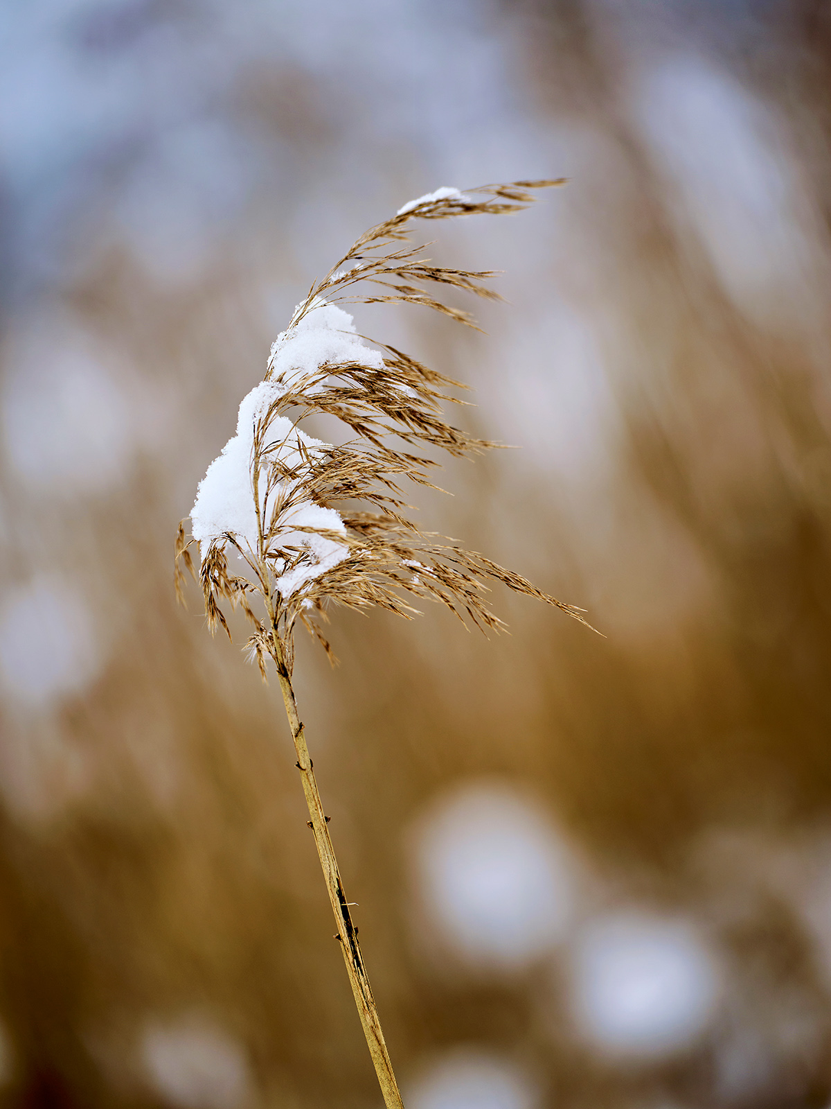 Winterkorn...