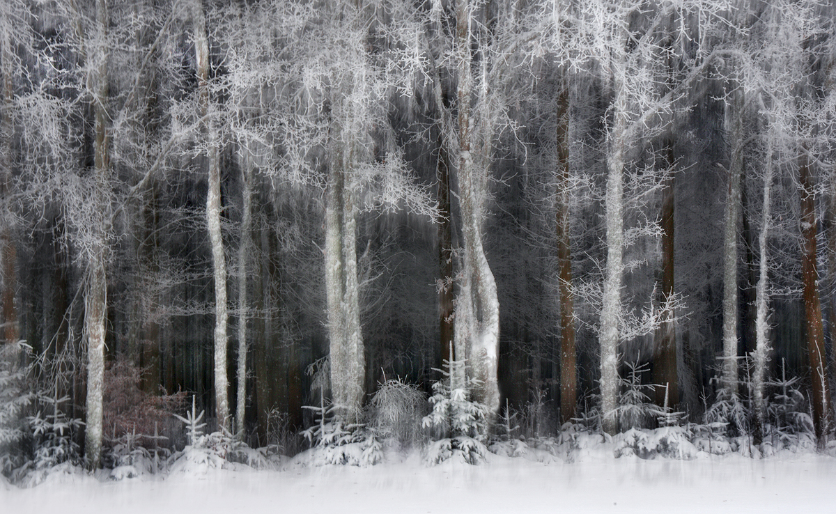 Winterspaziergang ...,