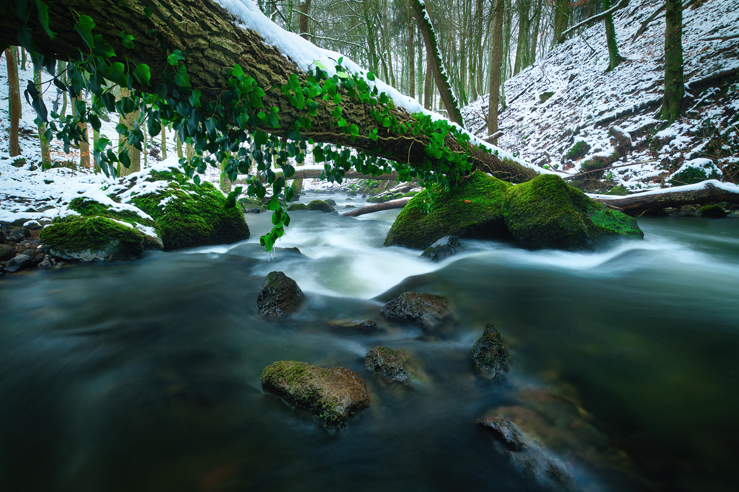 Winter am Alfbach