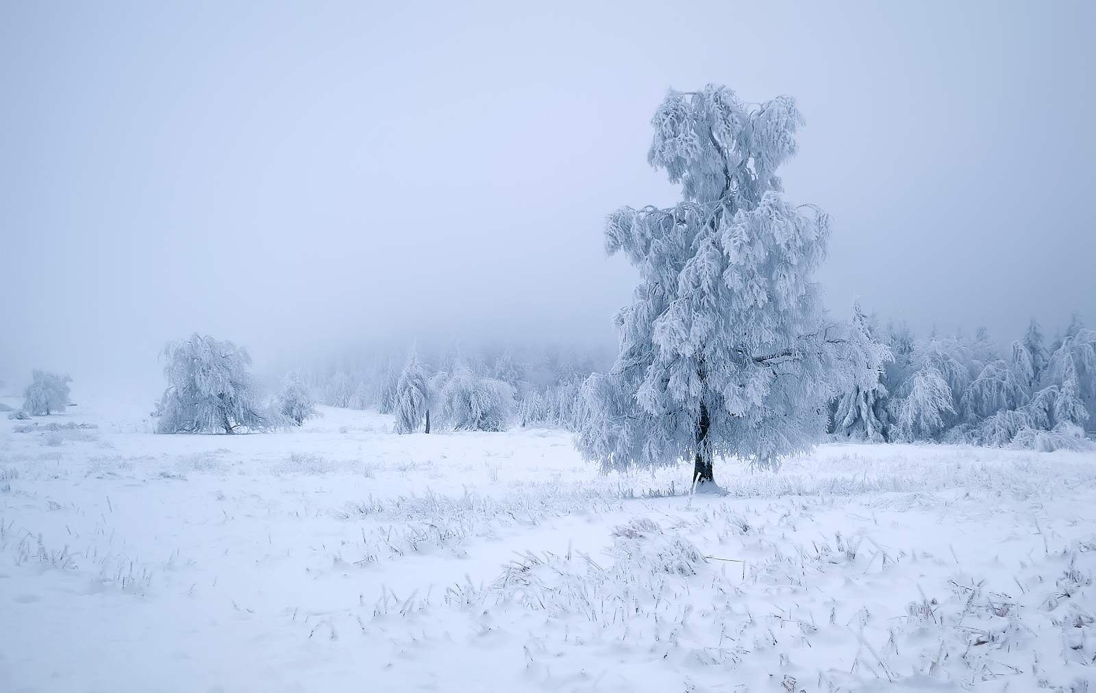 Winterlandschaft